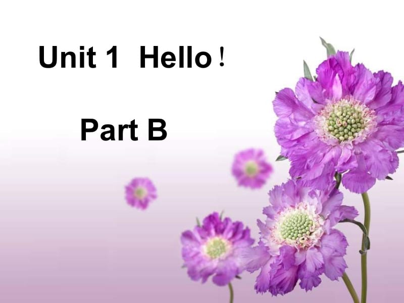 三年级上册英语课件-Unit 1 Hello Part B 3∣闽教版(共15张PPT).ppt_第1页