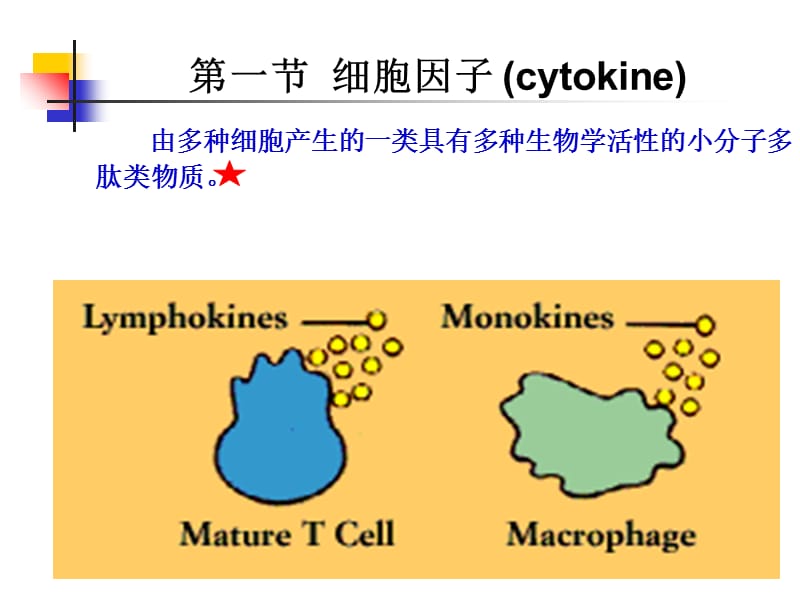 05细胞因子、CD分子、粘附分-子-精选文档.ppt_第1页