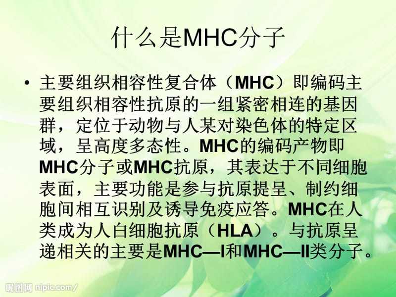 2018年免疫细胞膜分子MHCI类MHCII类的分布与免疫应答有何的关系-文档资料.ppt_第1页
