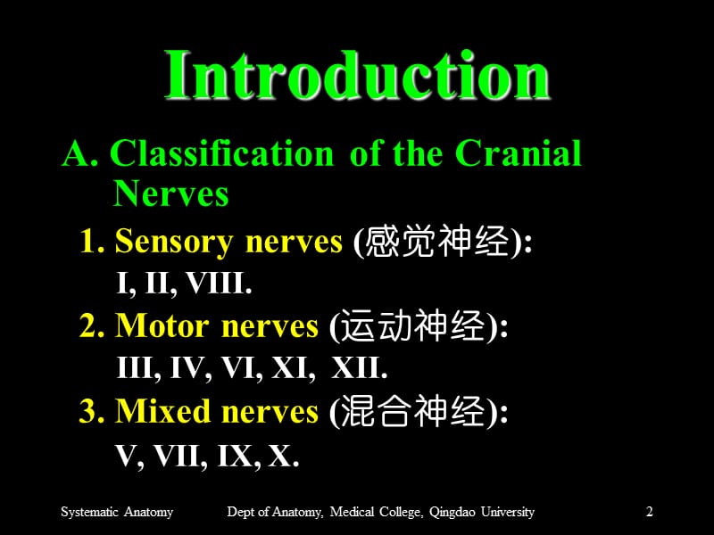 Section 2 The Cranial Nerves(脑神经)-精选文档.ppt_第2页