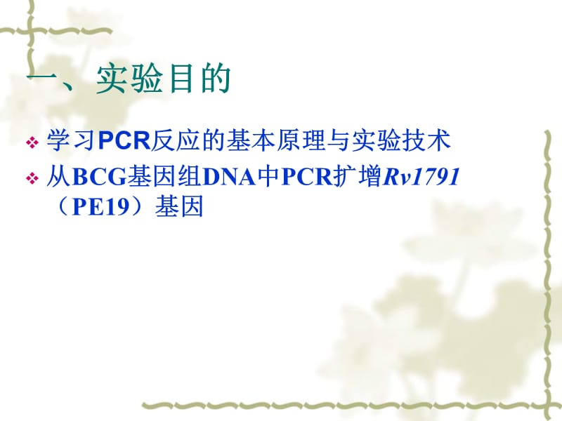 实验三基因的PCR扩增技术-精选文档.ppt_第1页