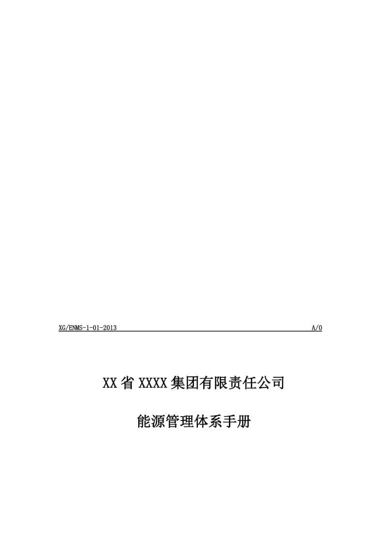 X公司能源管理体系新版手册.doc_第1页