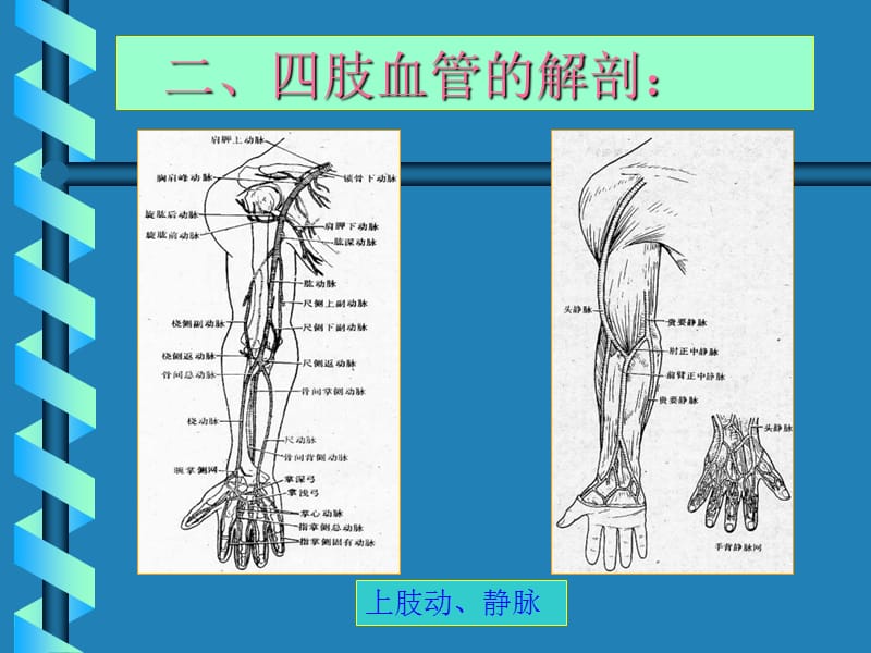 2018年四肢血管损伤的显微外科治疗-文档资料.ppt_第2页