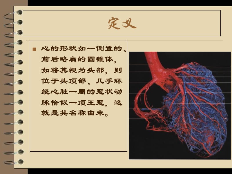 2018年冠状动脉的解剖与冠脉造影-文档资料.ppt_第1页