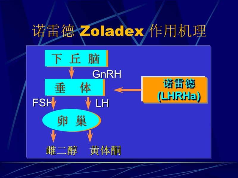 A7腺激素类似物与子宫内膜异位症郄明蓉-精选文档.ppt_第3页