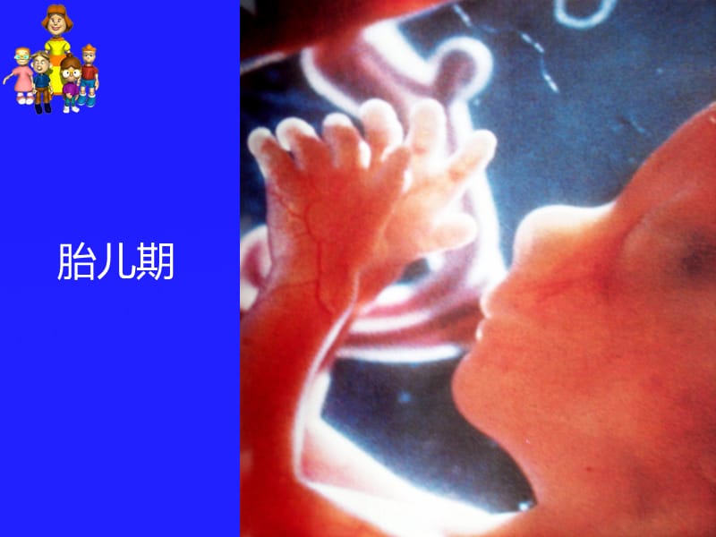 最新孕妇在妊娠期持续不良心情和精神状态，可导致胎儿发育异常。-PPT文档.ppt_第3页
