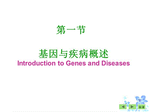 基因与疾病的关系-PPT课件.ppt