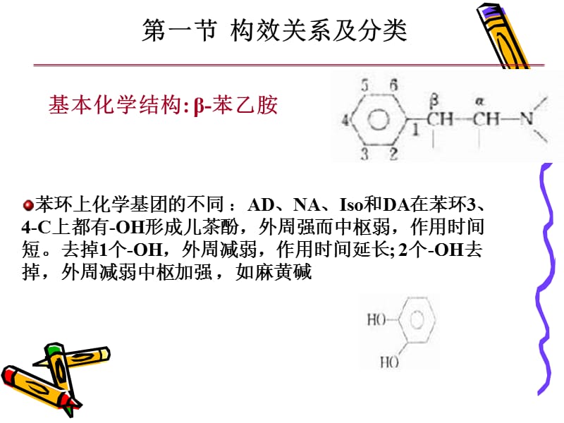 拟肾上腺素药2010--zhangyan-PPT课件.ppt_第3页