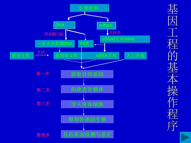 最新：基因工程和细胞工程-文档资料.ppt_第1页