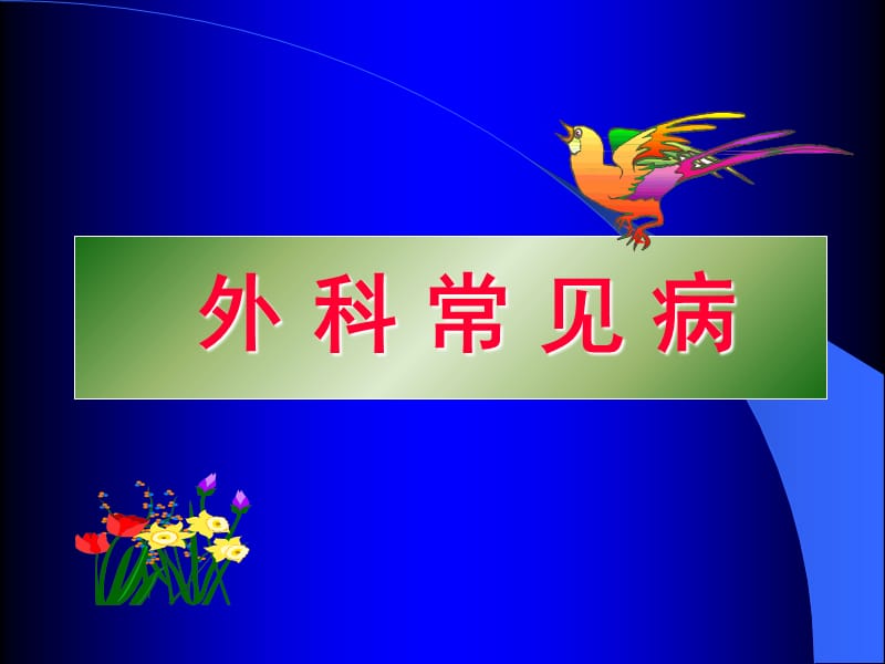 最新：健康教育外科常见病;性生理性心理及常见性病 ppt课件-文档资料.ppt_第1页