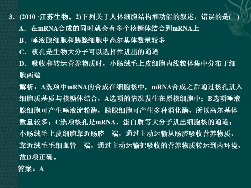 最新112细胞的基本结构-PPT文档.ppt_第3页