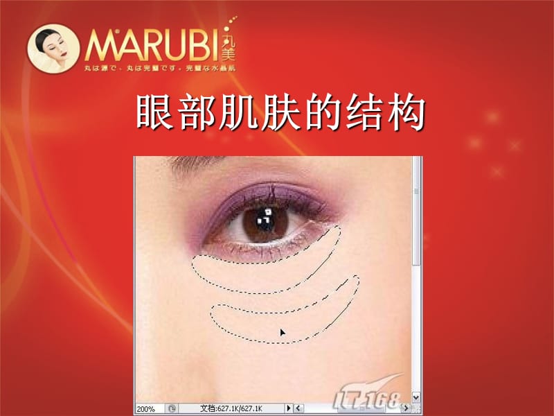 最新日本眼部护理专家-PPT文档.ppt_第3页