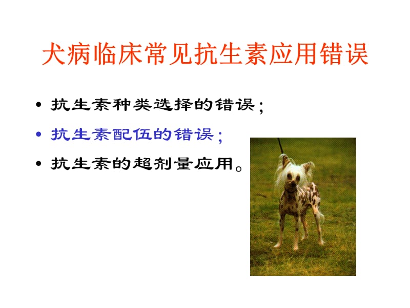 最新犬猫临床抗生素的应用-PPT文档.ppt_第2页