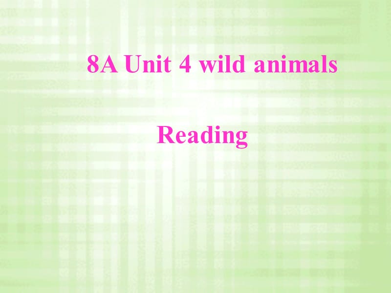 8A Unit 4 wild animals.ppt_第1页