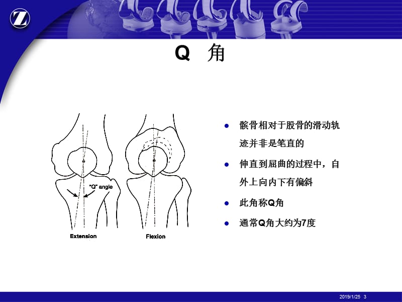 最新：膝关节解剖精品ppt课件-文档资料.ppt_第3页