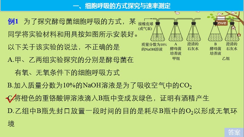 2018_2019学年高考生物大一轮复习热点题型二探究光合作用细胞呼吸的方式及速率的测定方法课件_395-(共82张PPT).ppt_第2页