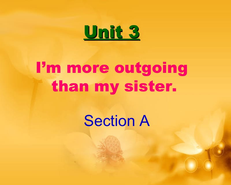 Unit_3_Im_more_outgoing_than_my_sister_Section_A.ppt_第1页
