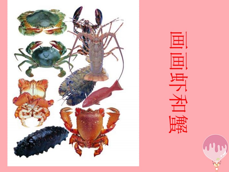 二年级上册美术课件-13 画画虾和蟹2∣ 苏少版 (共18张PPT).ppt_第1页