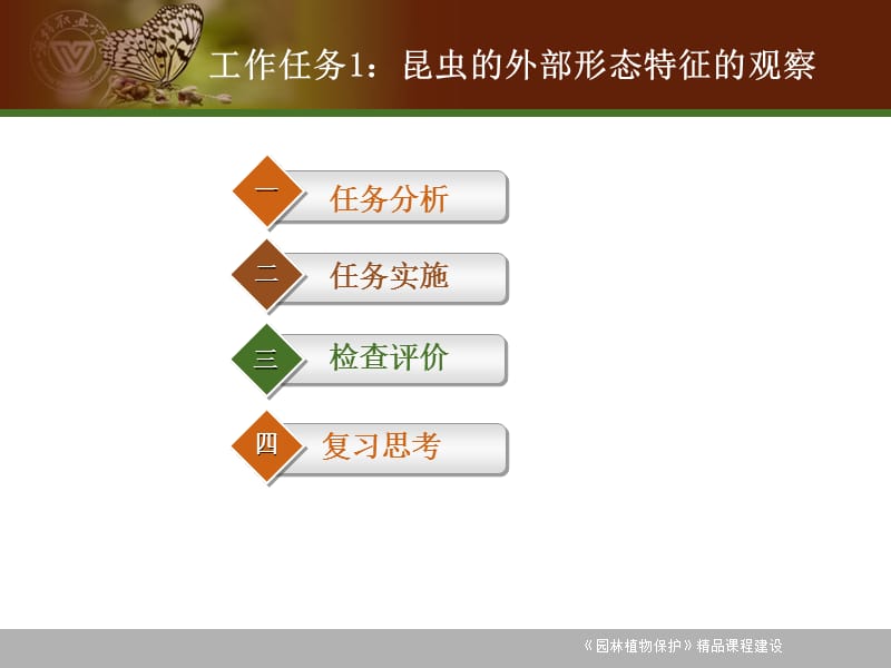 [农学]71园林植物病毒病害诊断与防治.ppt_第2页