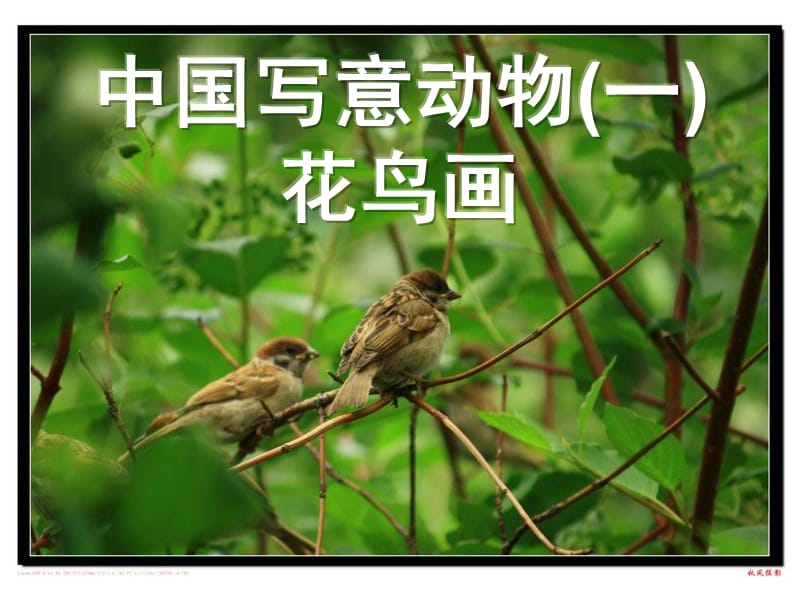 中国写意动物(一)花鸟画(课件).ppt_第1页