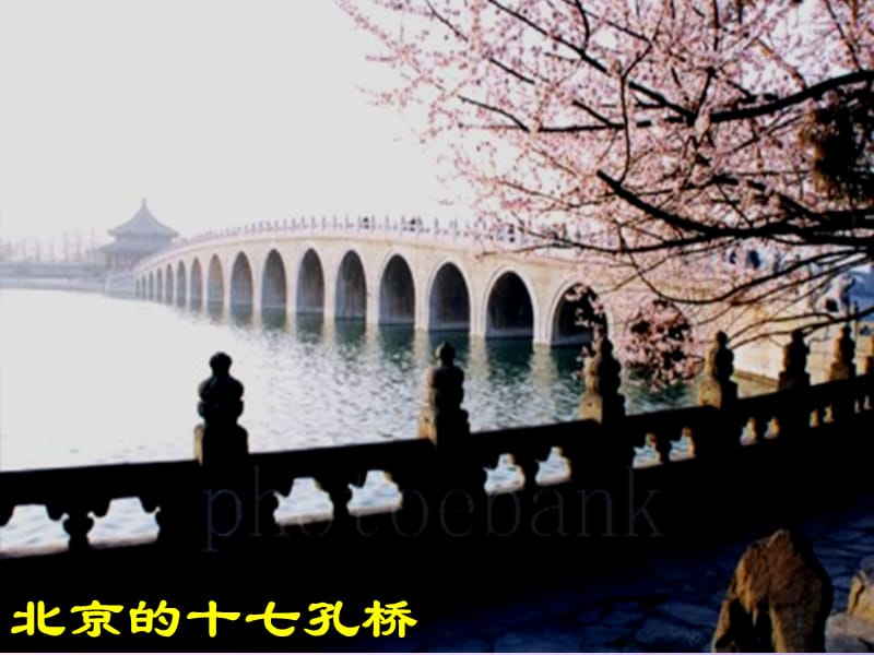 19.赵州桥（第一课时）.ppt_第2页