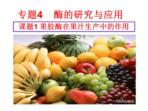 4.1《果胶酶在果汁生产中的作用》课件陈以祥.ppt