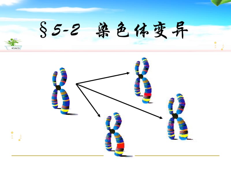 5.2《染色体变异》课件2王利.ppt_第1页