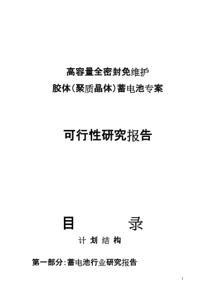 高容量全密封免维护胶体（聚质晶体）电池可行性研究报告.doc