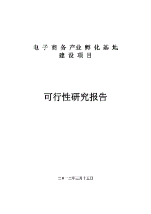 电子商务集聚中心可行性研究报告.doc