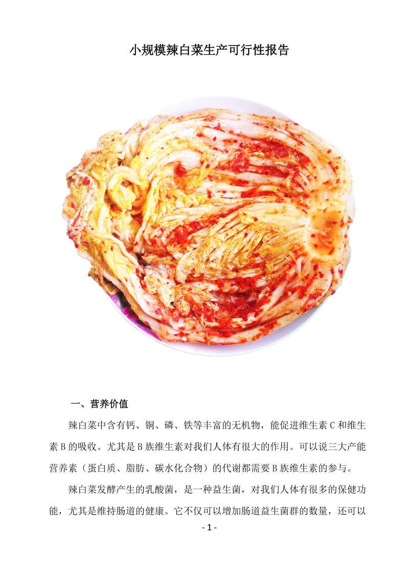 小规模辣白菜生产可行性研究报告.doc_第1页