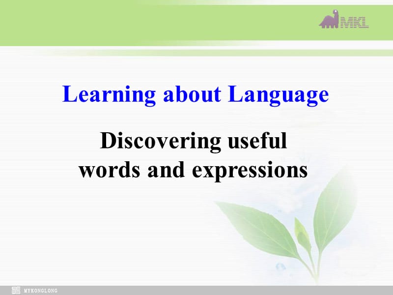 英语：Unit 4Learning efficiently-Learning about language课件 新人教选修10.ppt_第1页
