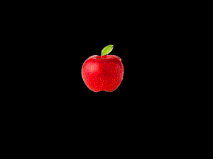 apple.ppt