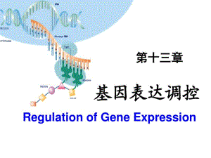 生物化学课件第13章基因表达调控(2017年讲义).pdf