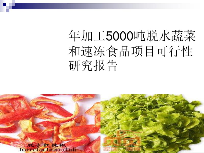 年加工5000吨脱水蔬菜和速冻食品项目研究报告(PPT43张).pdf_第1页