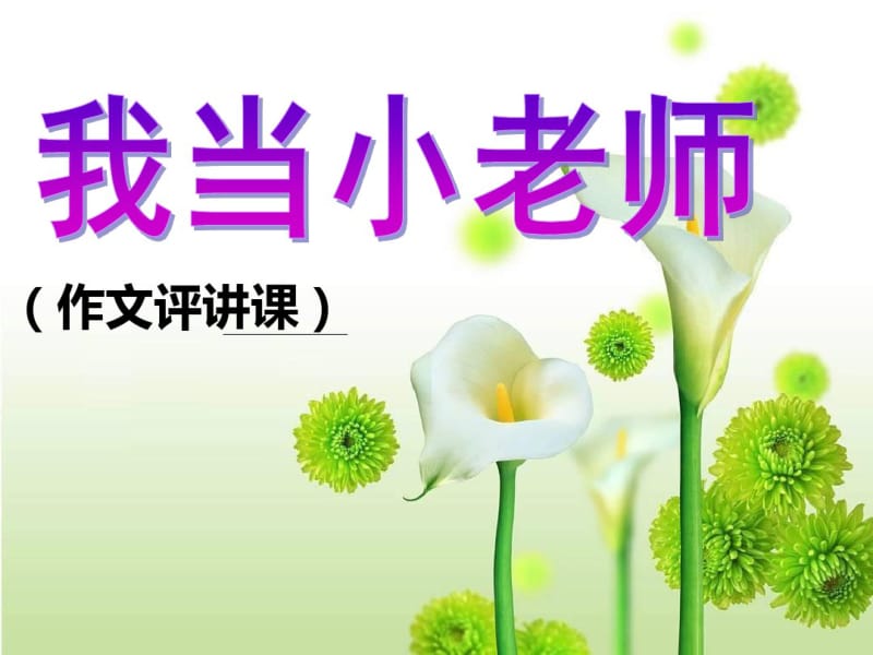 初中作文指导：我当小老师——作文评改课PPT课件.pdf_第1页