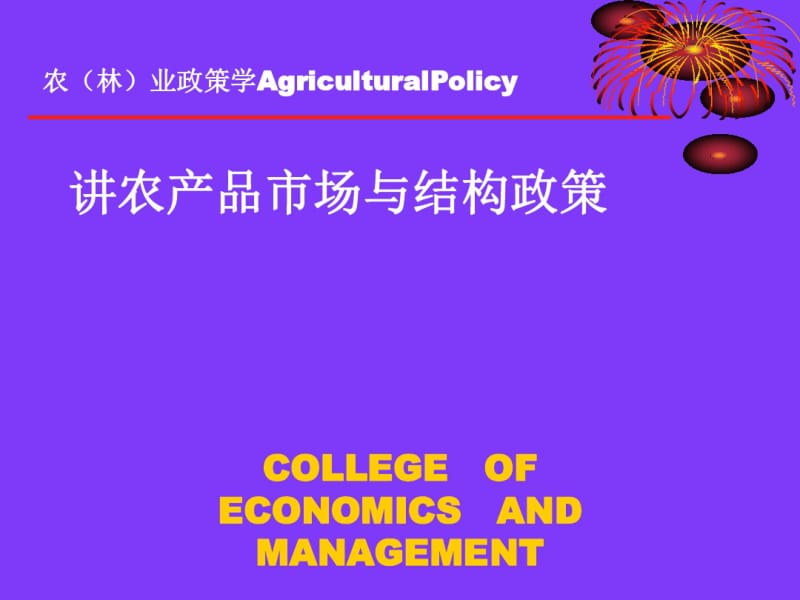 农产品市场与结构政策概论(PPT36张).pdf_第1页