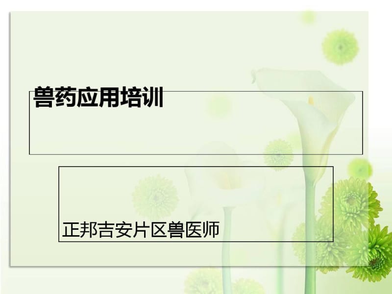 兽药应用培训(ppt49张).pdf_第1页