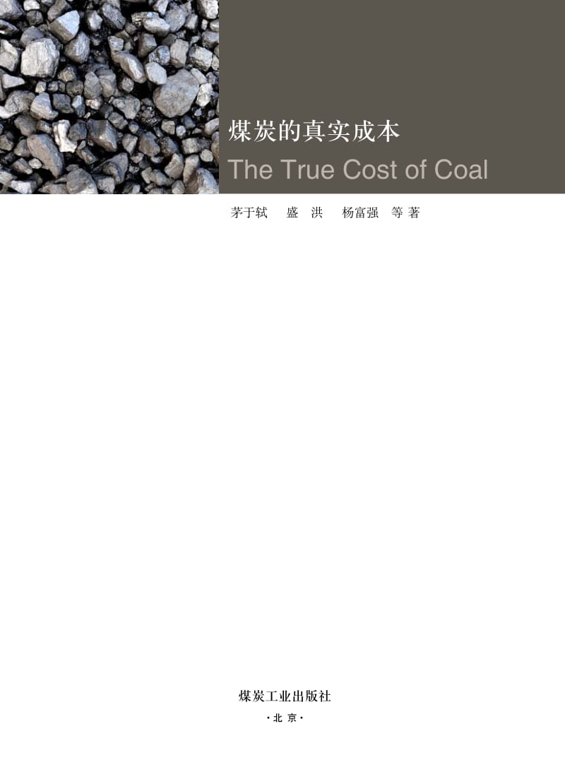 煤炭的真实成本.pdf_第2页