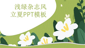 创意浅绿杂志风立夏PPT模板.pptx