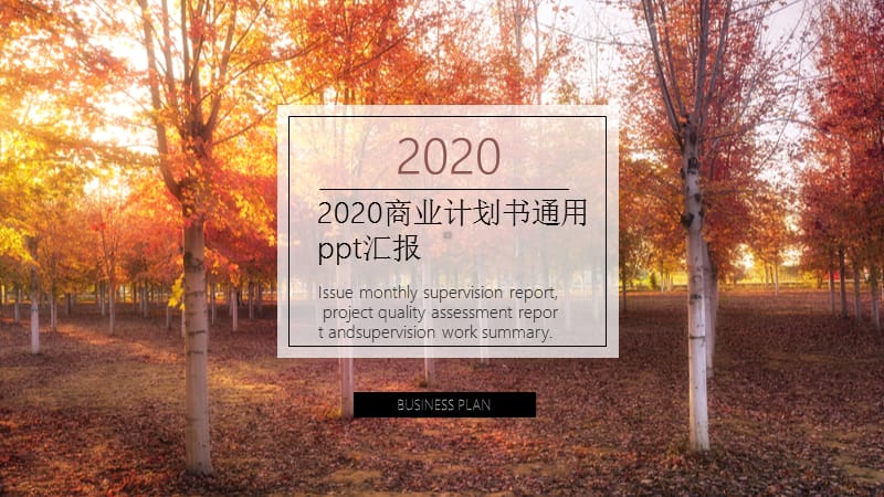 2020商业计划书通用ppt汇报.pptx_第1页
