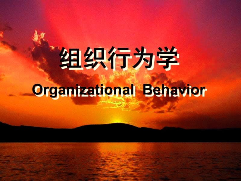 组织行为学OrganizationalBehavior.ppt_第1页