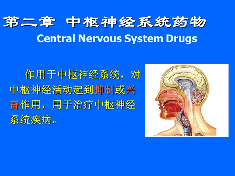 中枢神经系统药物CentralNervousSystemDrugs.ppt_第1页