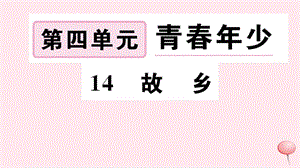 孝感专版2019秋九年级语文上册第四单元14故乡习题课件新人教版.ppt