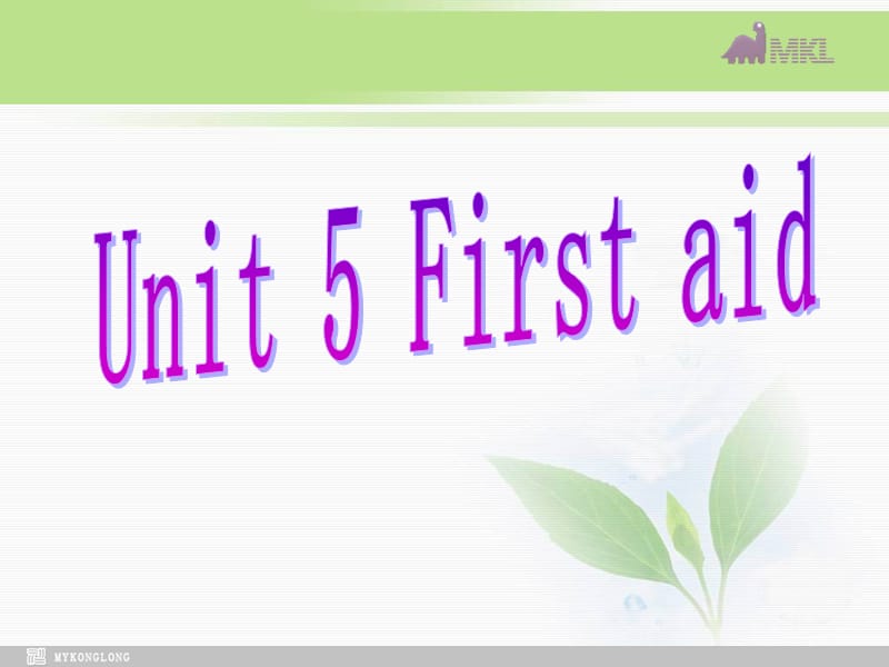 必修五 5.5《 Unit 5 First Aid》 .ppt_第2页