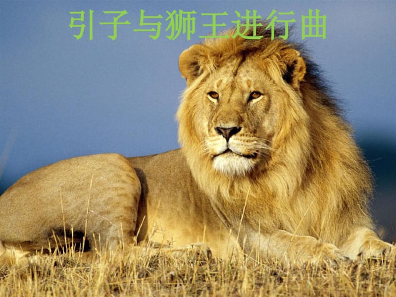 引子与狮王进行曲01.pdf_第1页