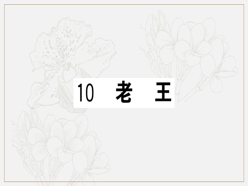 2019春七年级语文下册第三单元10老王习题课件新人教版.ppt_第1页