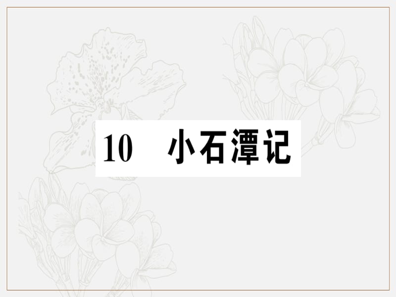 河南专版2019春八年级语文下册第三单元10小石潭记习题课件新人教版.ppt_第1页