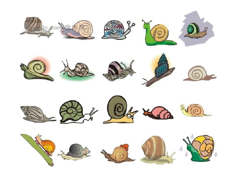 《一百只蜗牛去旅行》.pdf_第1页
