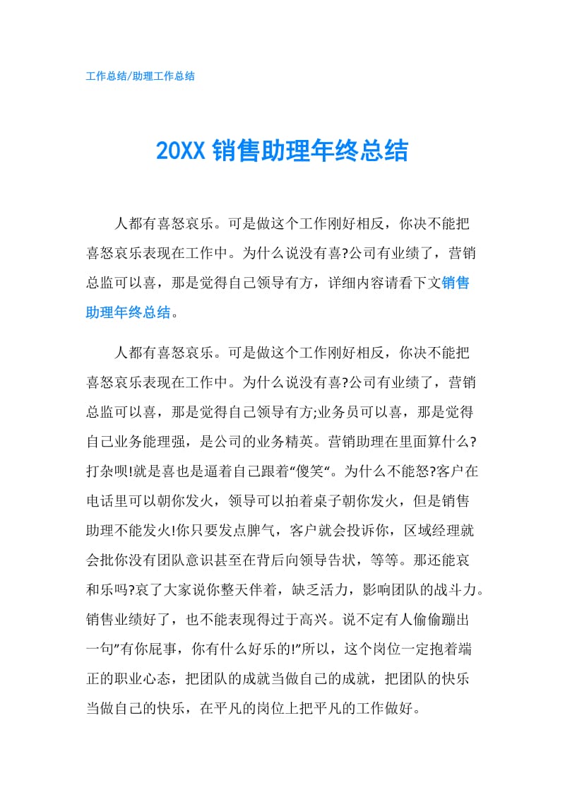20XX销售助理年终总结.doc_第1页