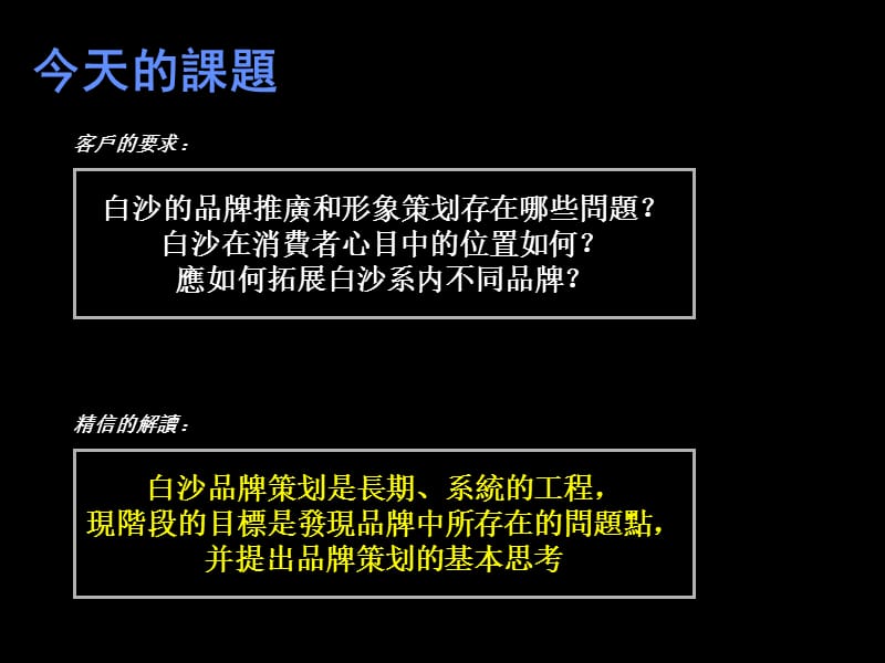 白沙集团市场领导者纲领文件.ppt_第3页